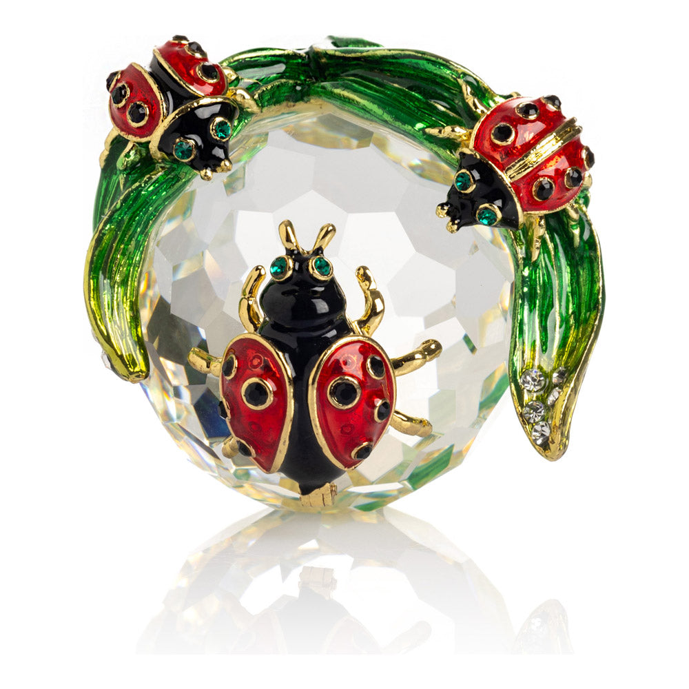 10217327_9.jpg